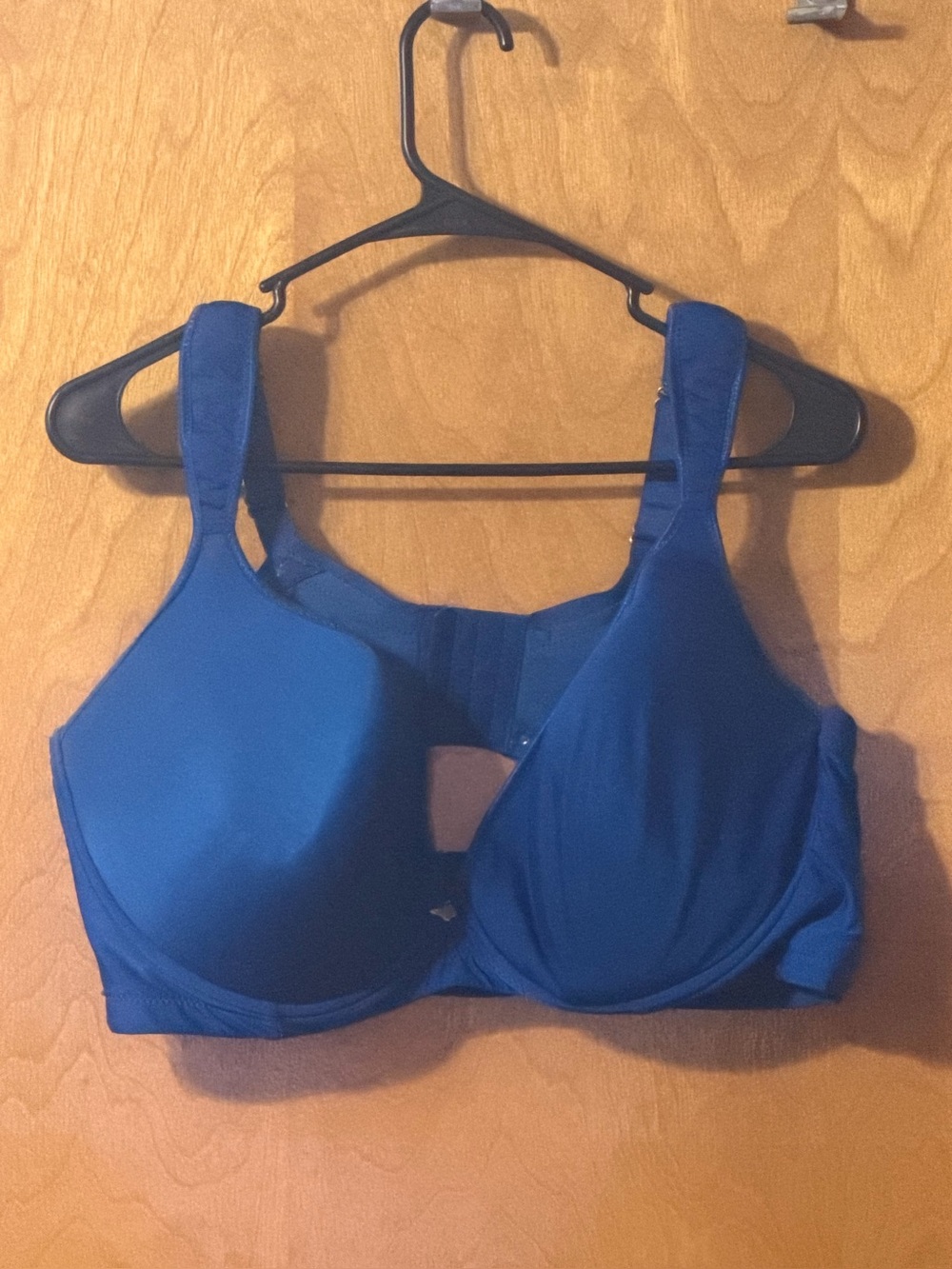 Lesley Stewart Full Coverage Blue Women's Bra
